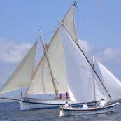 velalatina