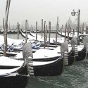 neve neve